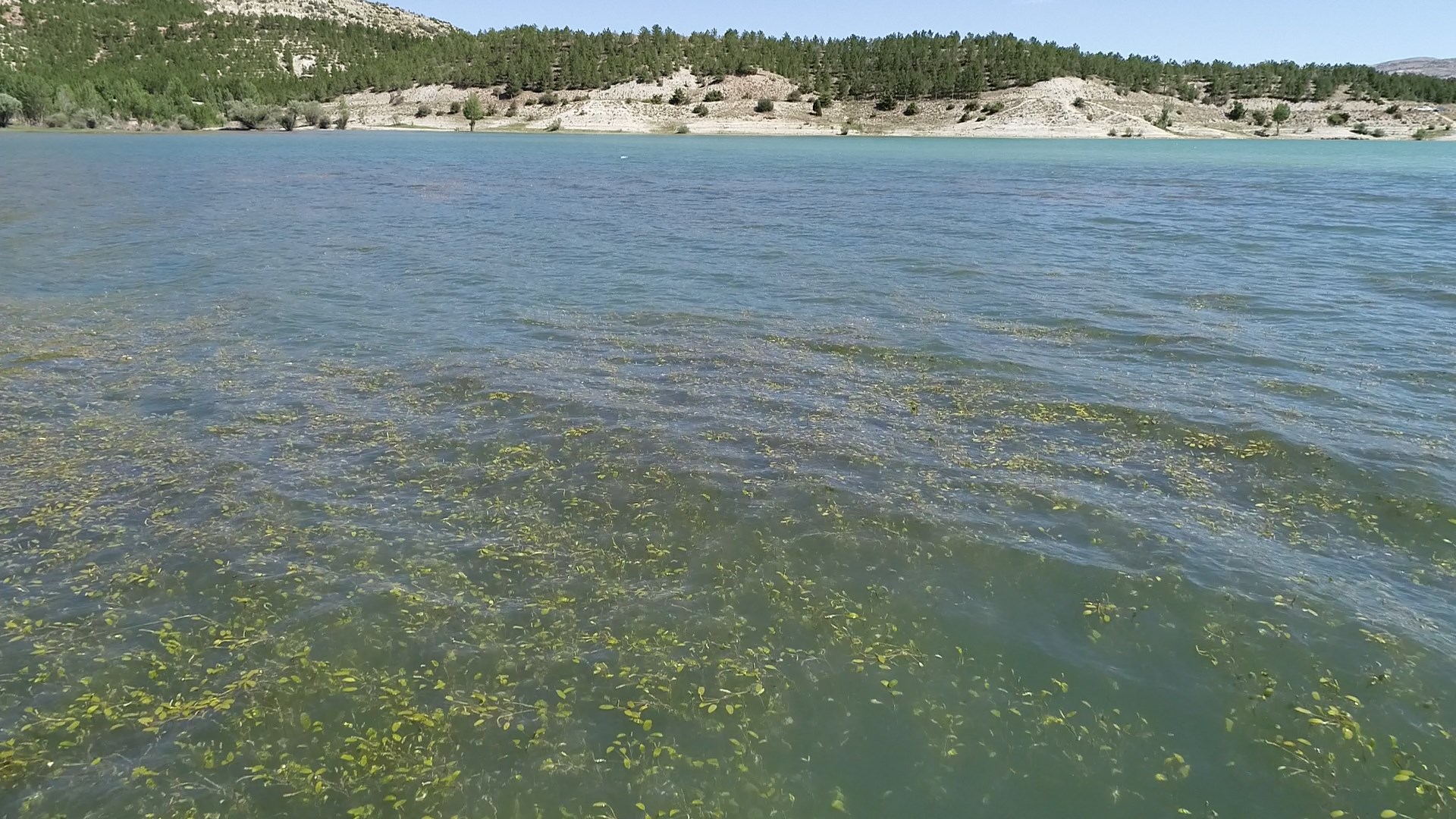 Konya- Prof. Dr. Baştaş: Yapay zekanın, 2027 yılında 6 milyar metreküp su tüketmesi bekleniyor - Görsel 3