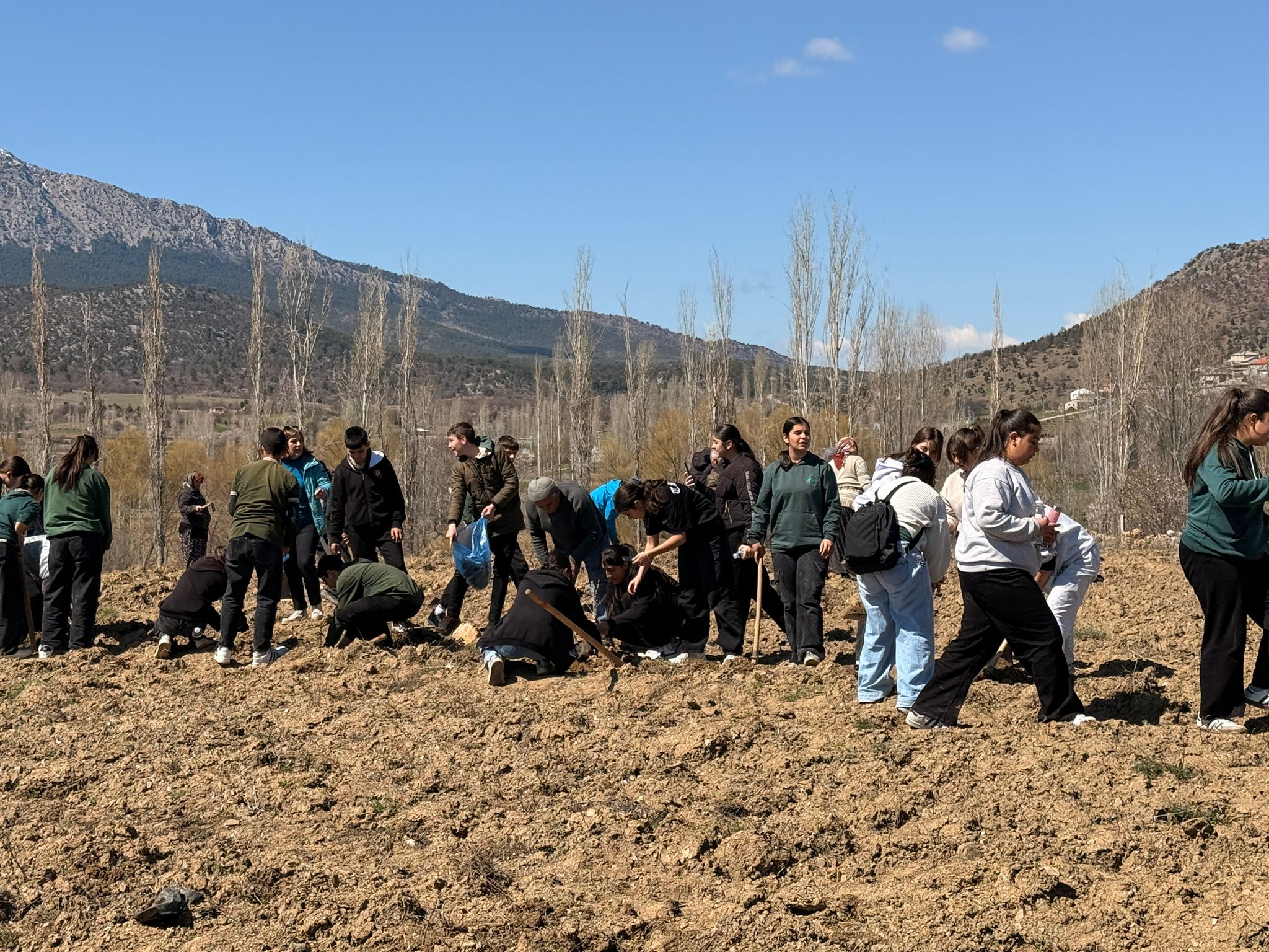 KIZILCA MAHALLESİNDE BİN 900 FİDAN TOPRAKLA BULUŞTU  - Görsel 1