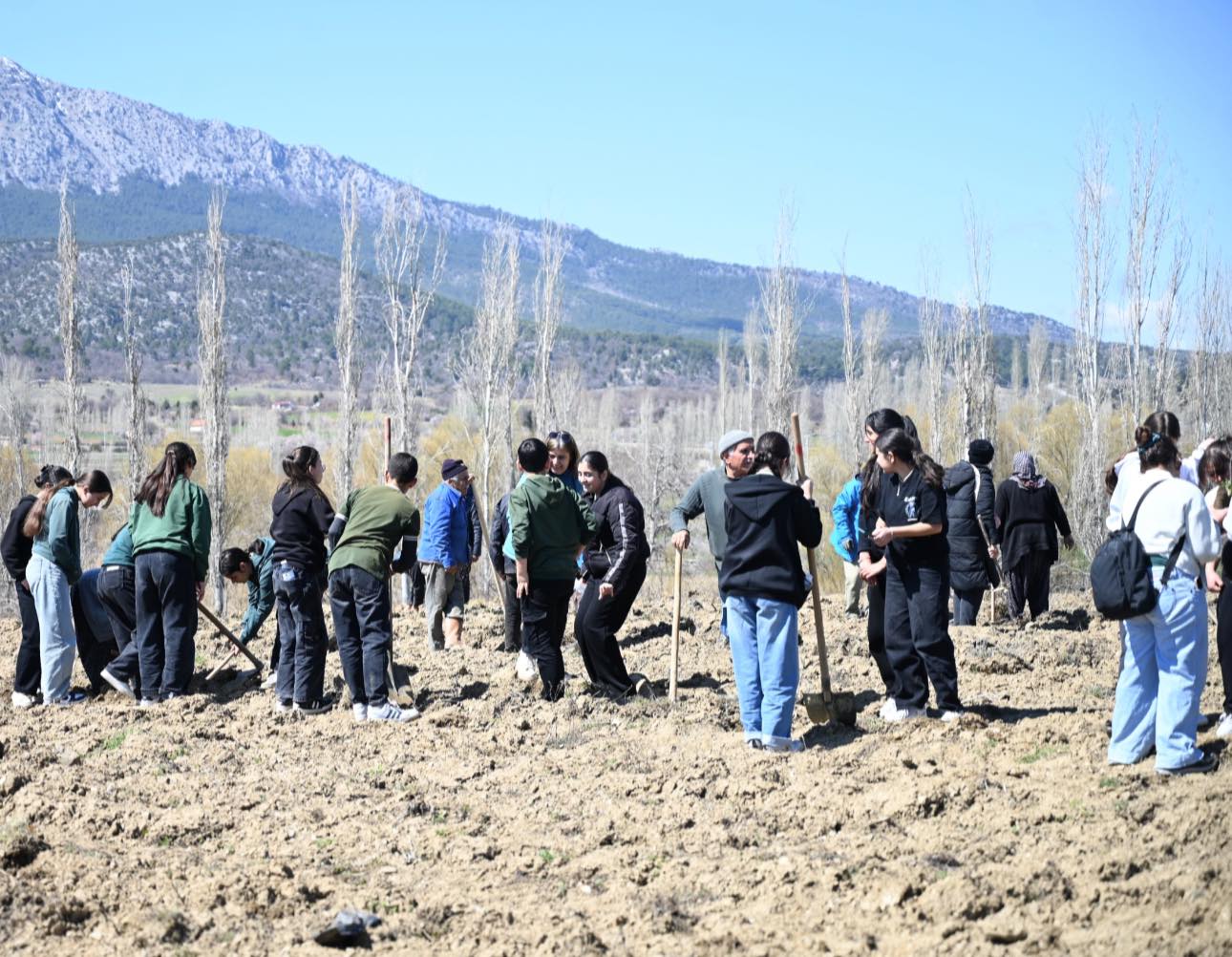 KIZILCA MAHALLESİNDE BİN 900 FİDAN TOPRAKLA BULUŞTU  - Görsel 2