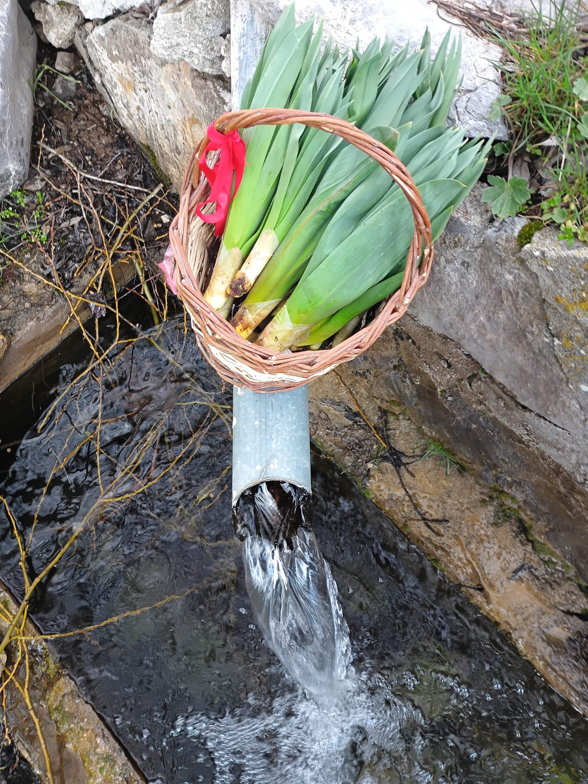 Toroslar’dan Şifa, Gönüllerden Vefa: Ali Erdoğan’dan Örnek Davranış - Görsel 1