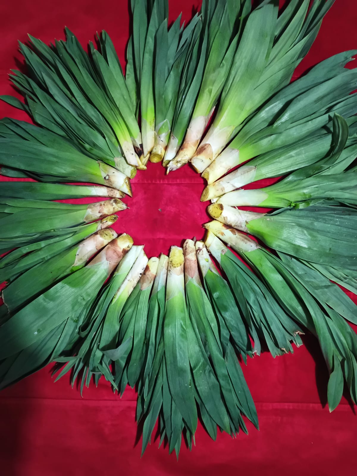 Toroslar’dan Şifa, Gönüllerden Vefa: Ali Erdoğan’dan Örnek Davranış - Görsel 2