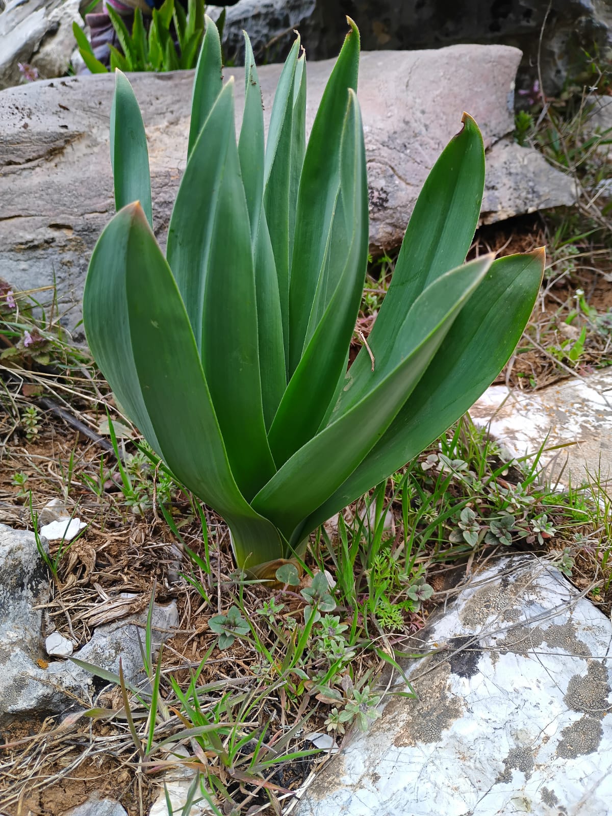 Toroslar’dan Şifa, Gönüllerden Vefa: Ali Erdoğan’dan Örnek Davranış - Görsel 3