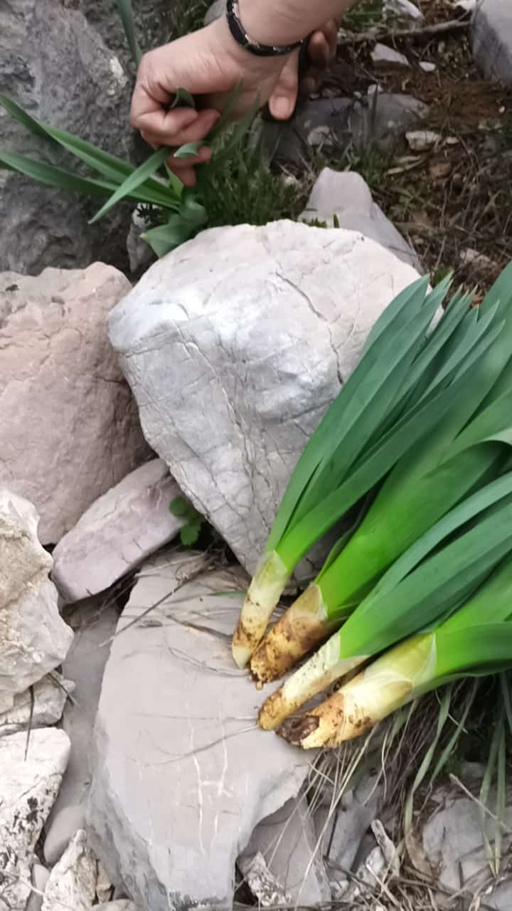 Toroslar’dan Şifa, Gönüllerden Vefa: Ali Erdoğan’dan Örnek Davranış - Görsel 4