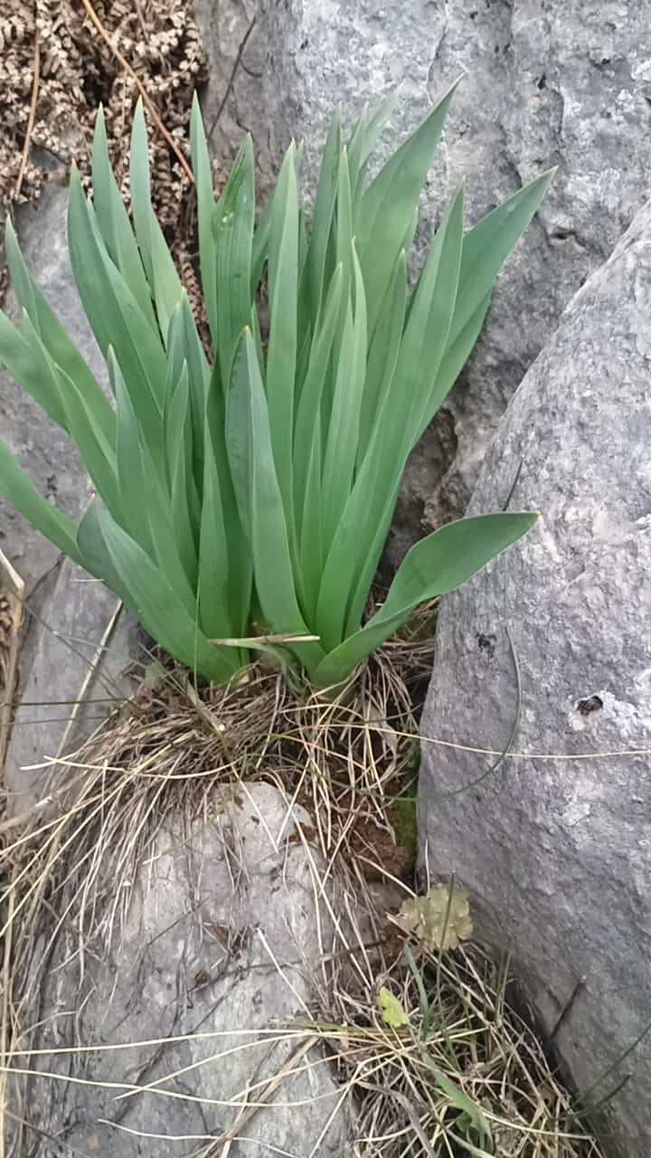 Toroslar’dan Şifa, Gönüllerden Vefa: Ali Erdoğan’dan Örnek Davranış - Görsel 5