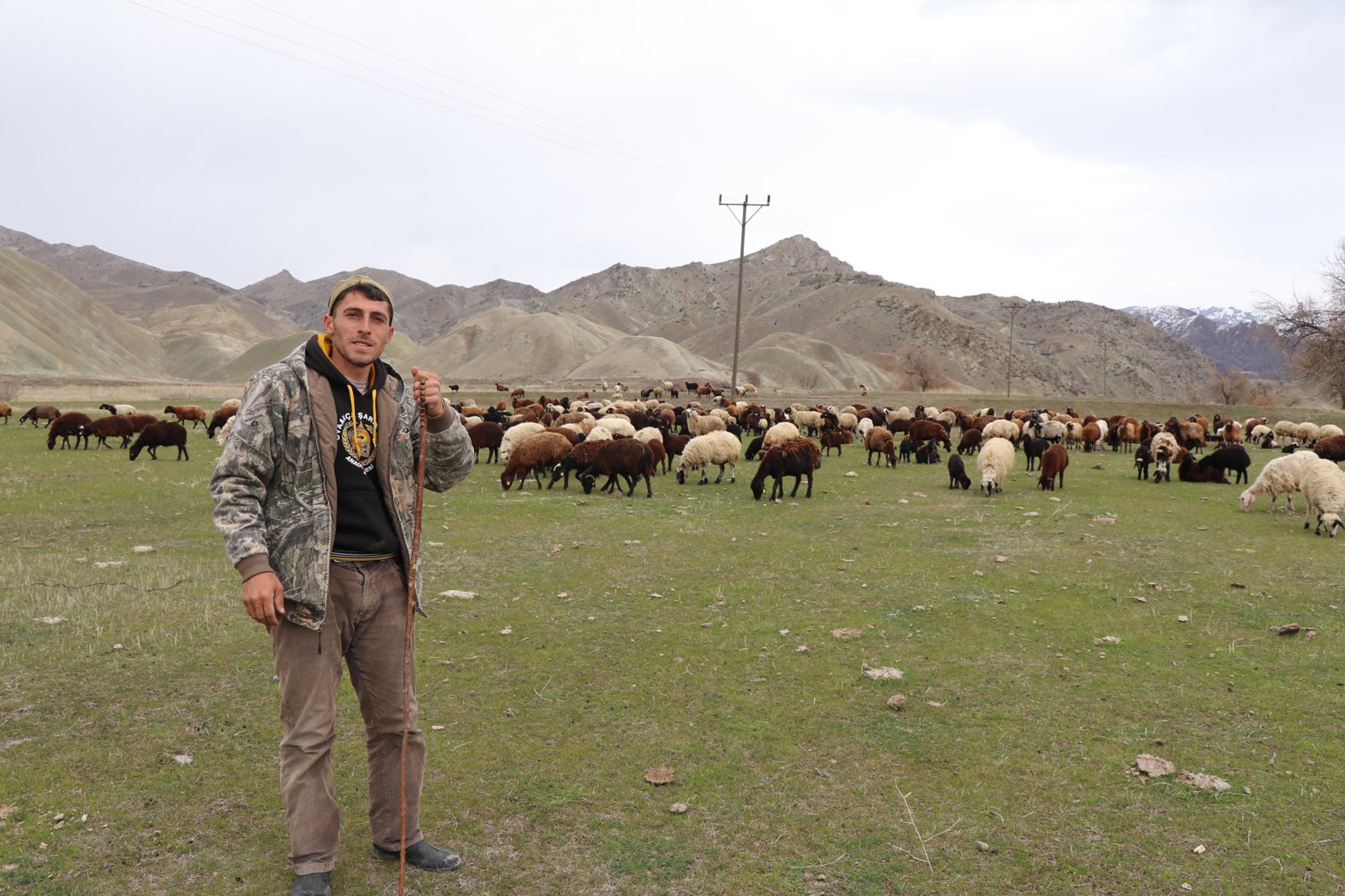 Yeni nesil çoban; dron ile sürüyü 30 saniyede topladı - Görsel 3