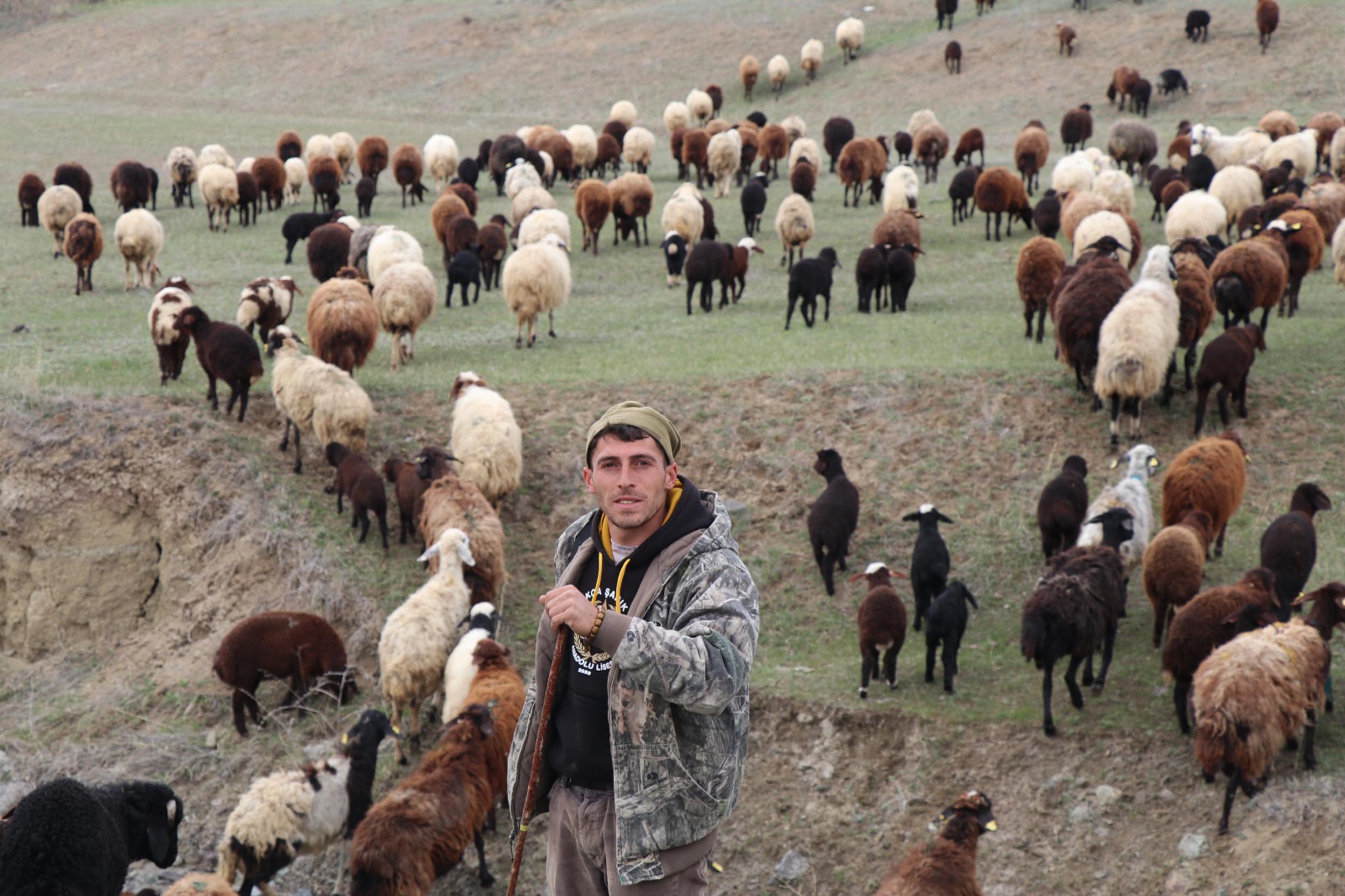 Yeni nesil çoban; dron ile sürüyü 30 saniyede topladı - Görsel 4