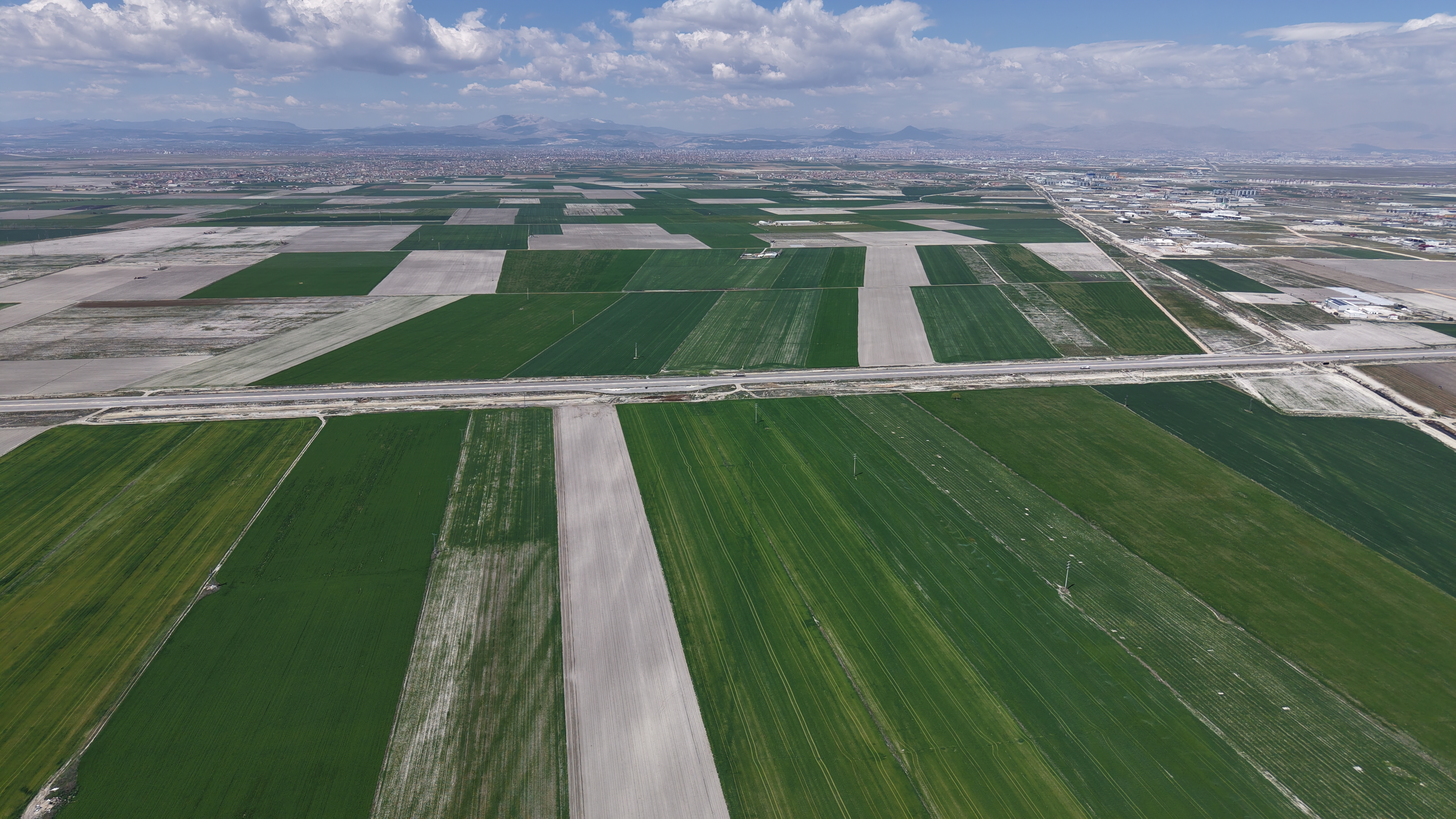 Konya Ovası'nda yağışlarla hububatta 500 bin ton rekolte artışı bekleniyor - Görsel 1