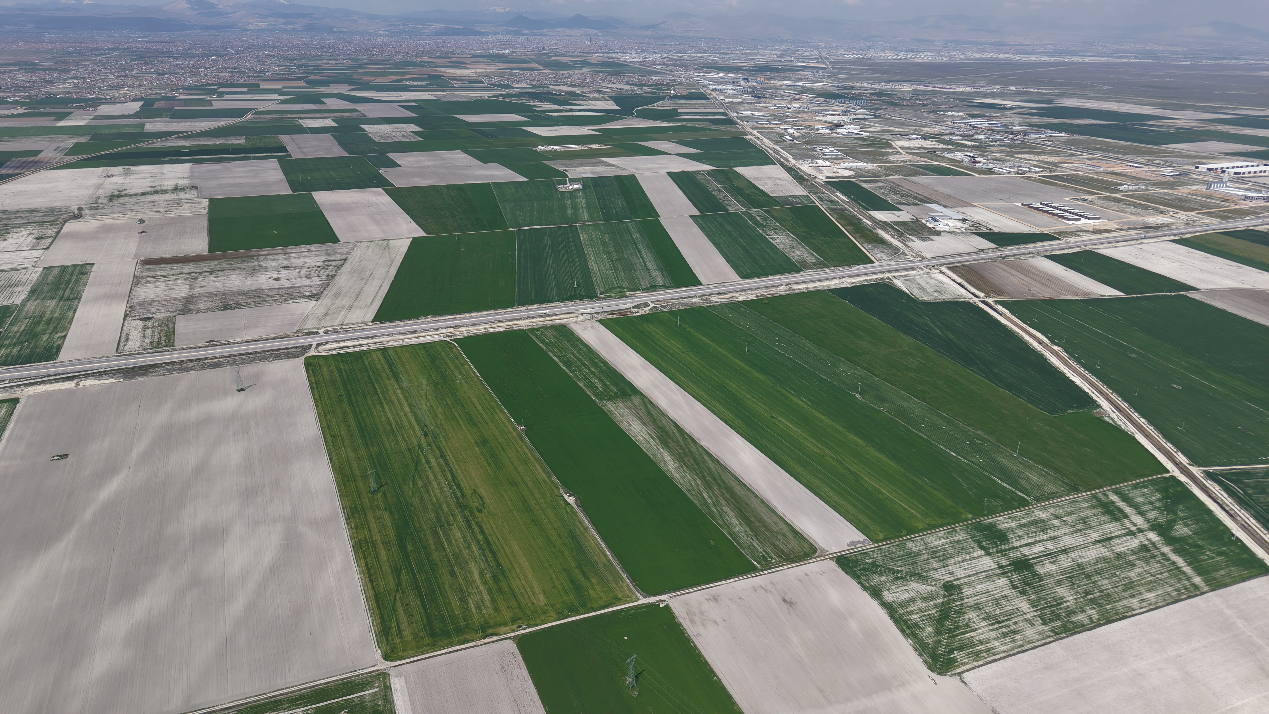 Konya Ovası'nda yağışlarla hububatta 500 bin ton rekolte artışı bekleniyor - Görsel 3