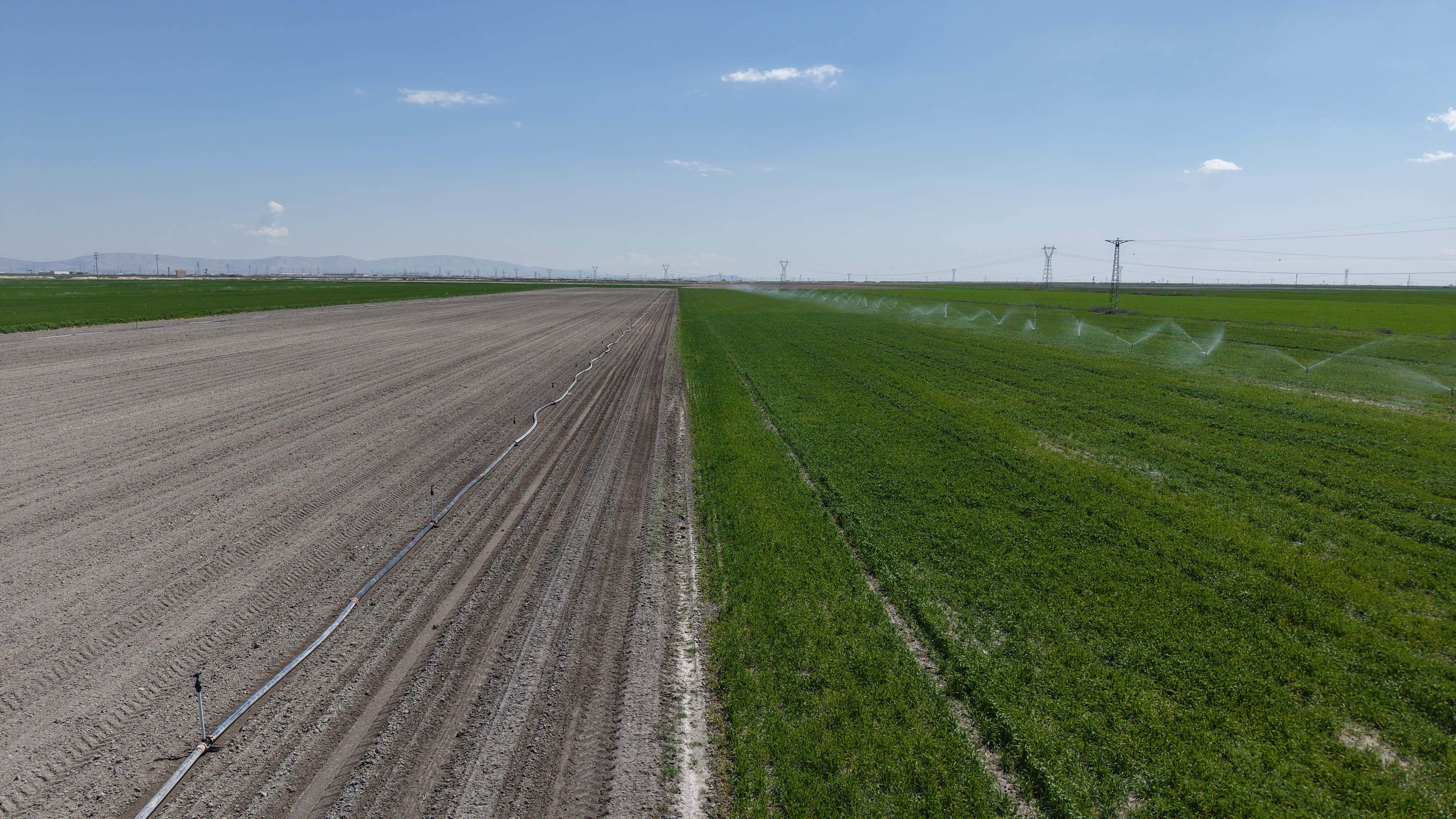 Konya Ovası'nda yağışlarla hububatta 500 bin ton rekolte artışı bekleniyor - Görsel 4