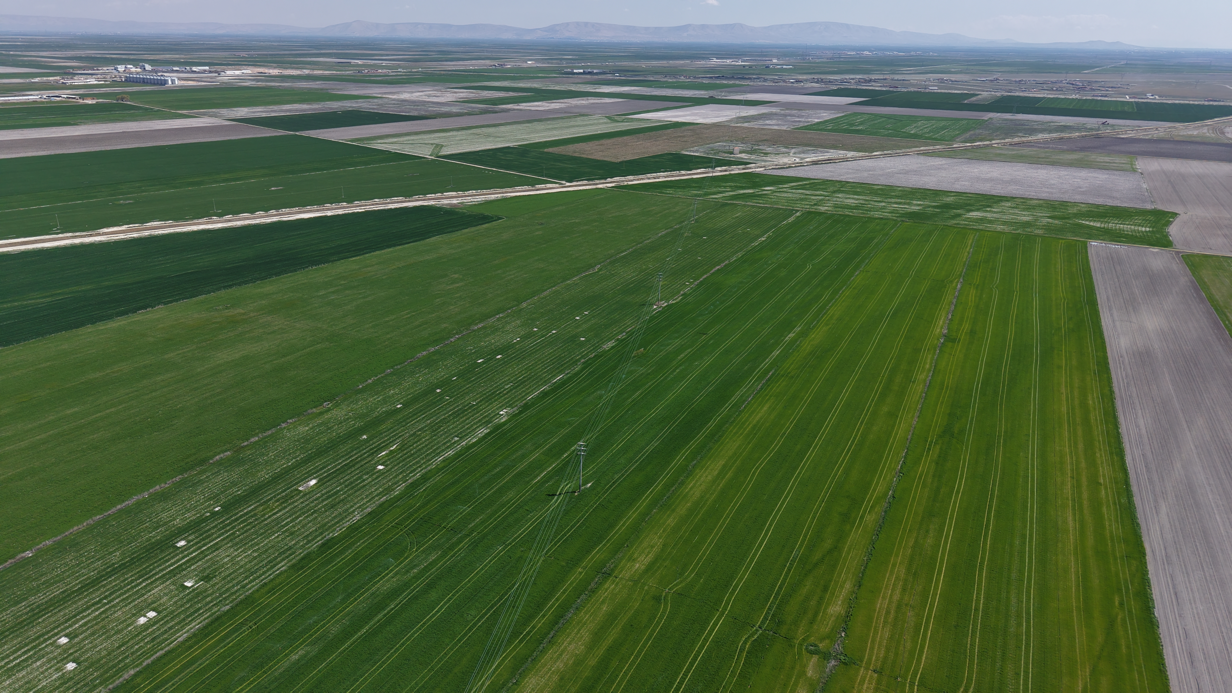 Konya Ovası'nda yağışlarla hububatta 500 bin ton rekolte artışı bekleniyor - Görsel 5