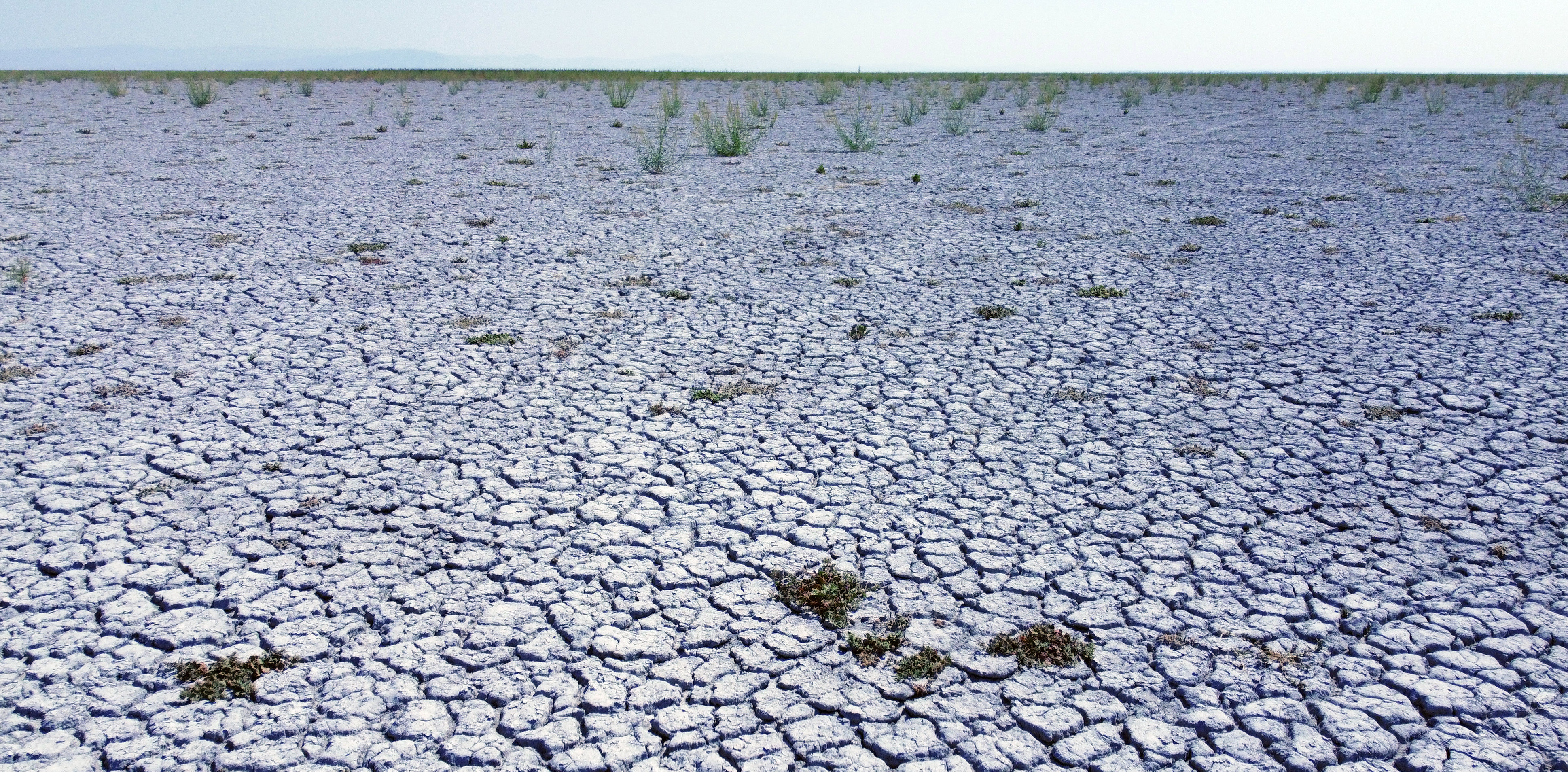 Konya - Akşehir Gölü, 8 yıllık kuraklık sonrası canlanıyor - Görsel 5