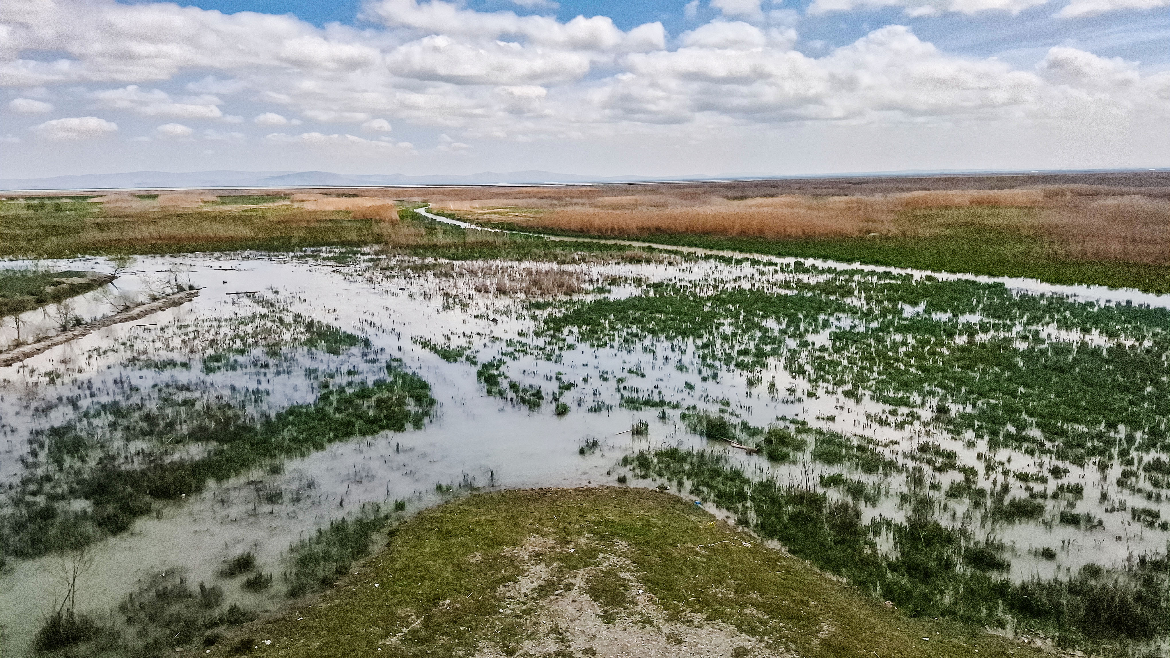 Konya - Akşehir Gölü, 8 yıllık kuraklık sonrası canlanıyor - Görsel 10