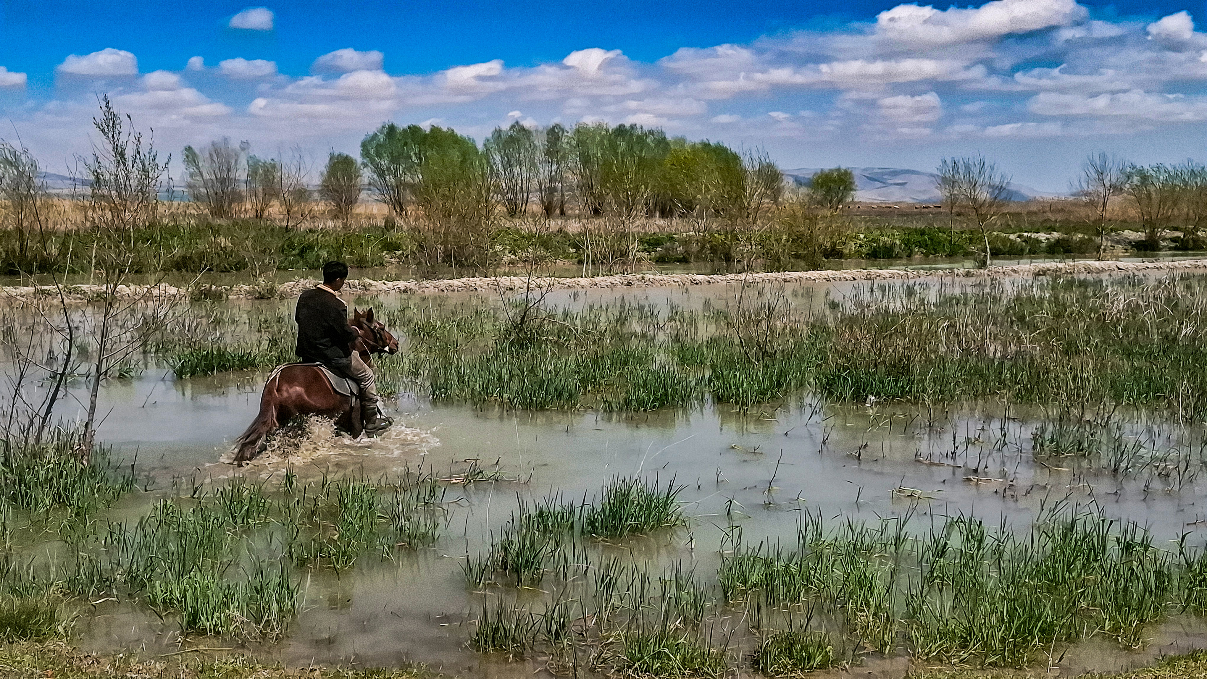 Konya - Akşehir Gölü, 8 yıllık kuraklık sonrası canlanıyor - Görsel 11