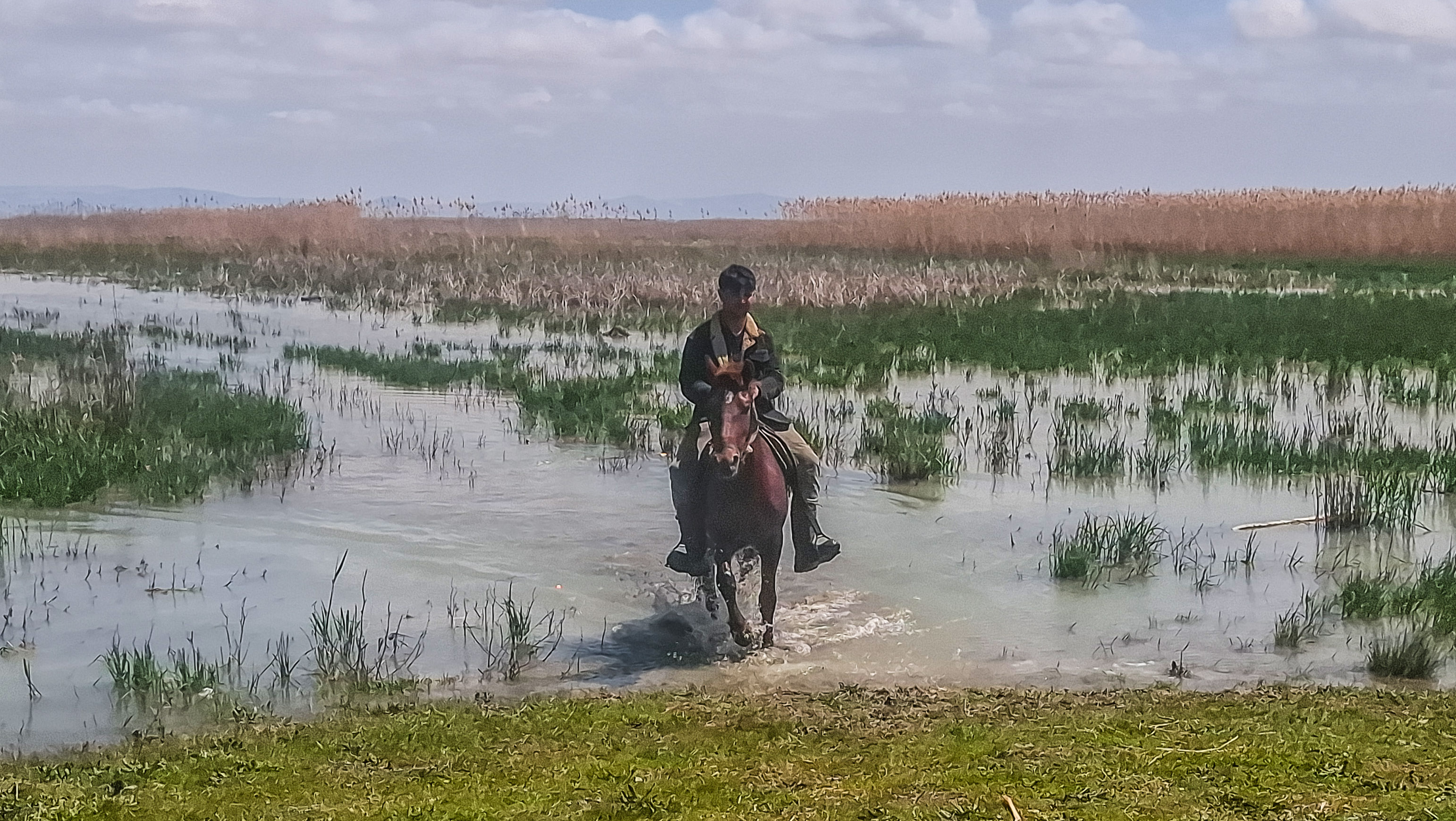Konya - Akşehir Gölü, 8 yıllık kuraklık sonrası canlanıyor - Görsel 13