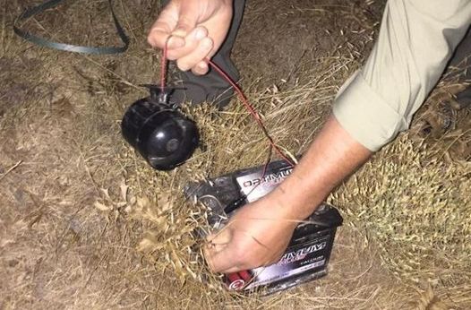 Bıldırcın sesi çıkaran düzenek ele geçirildi...