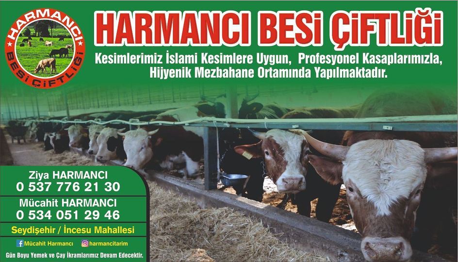 HARMANCI  BESİ ÇİFTLİĞİNDE KURBANLIK SATIŞI BAŞLADI (R)