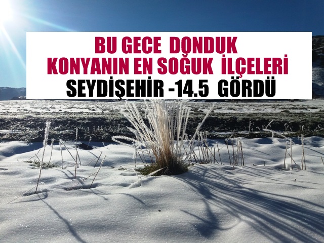 KONYANIN EN SOĞUK İLÇESİ  SEYDİŞEHİR -17  GÖRDÜ
