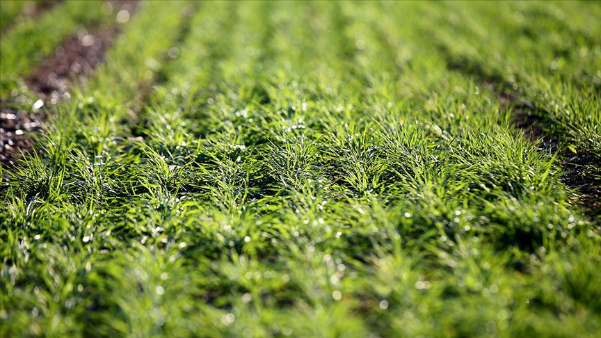 Seydişehir'de  nisan yağmurları sevindirdi
