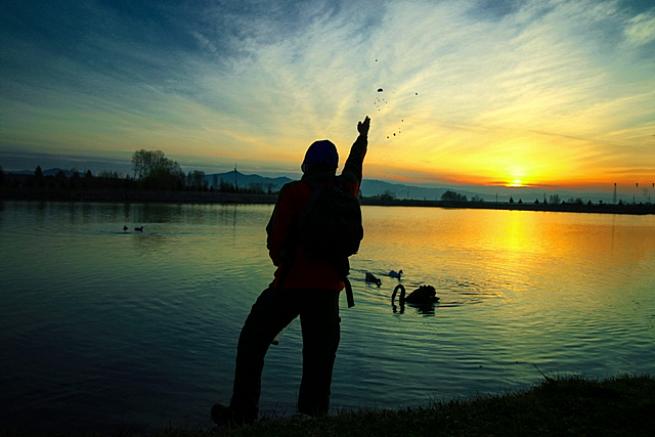 Kuğulu Tabiat Parkında  Gün Doğumu