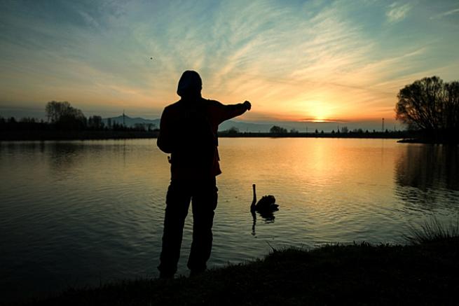 Kuğulu Tabiat Parkında  Gün Doğumu