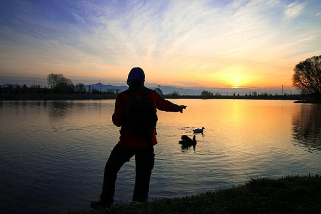 Kuğulu Tabiat Parkında  Gün Doğumu