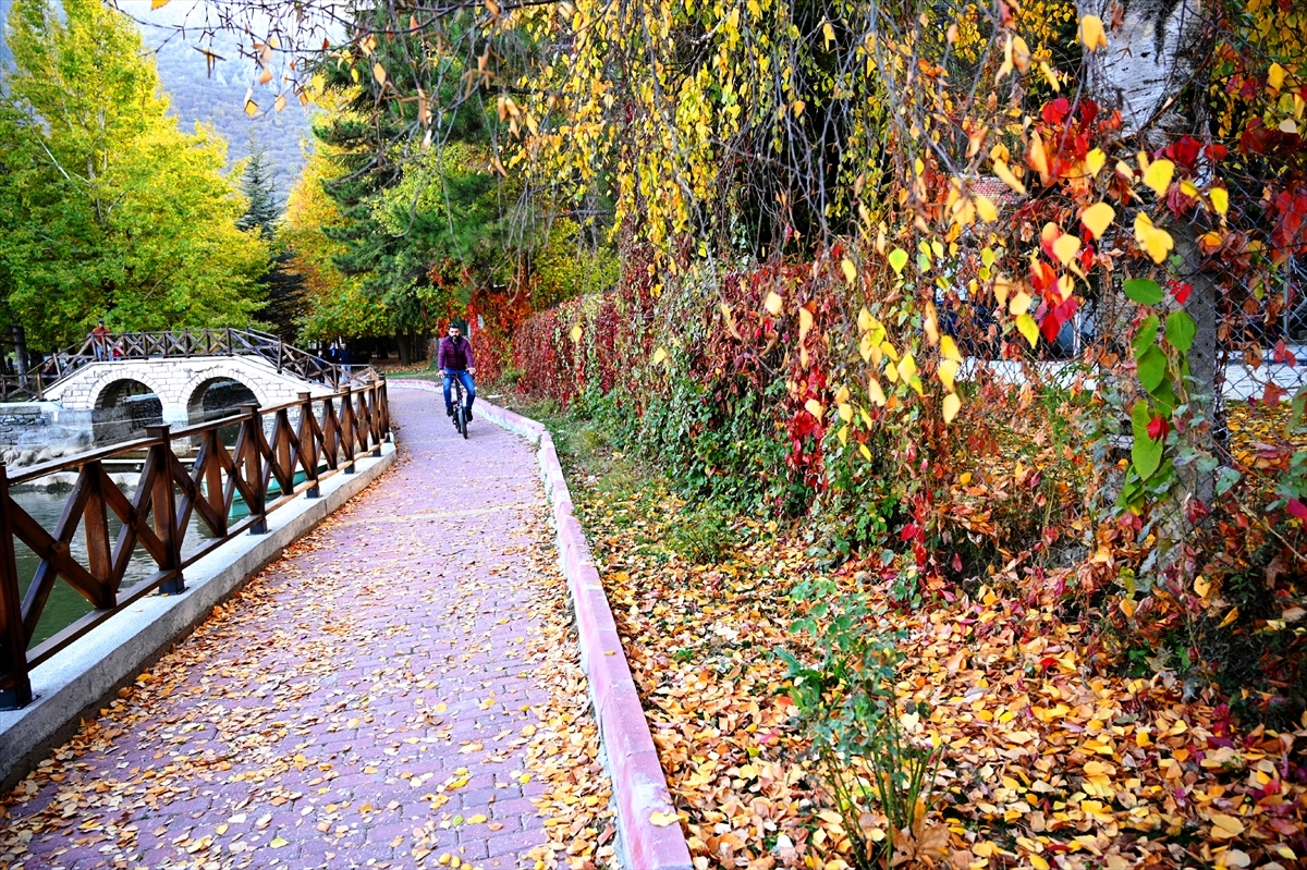 Kuğulu Tabiat Parkında Sonbahar