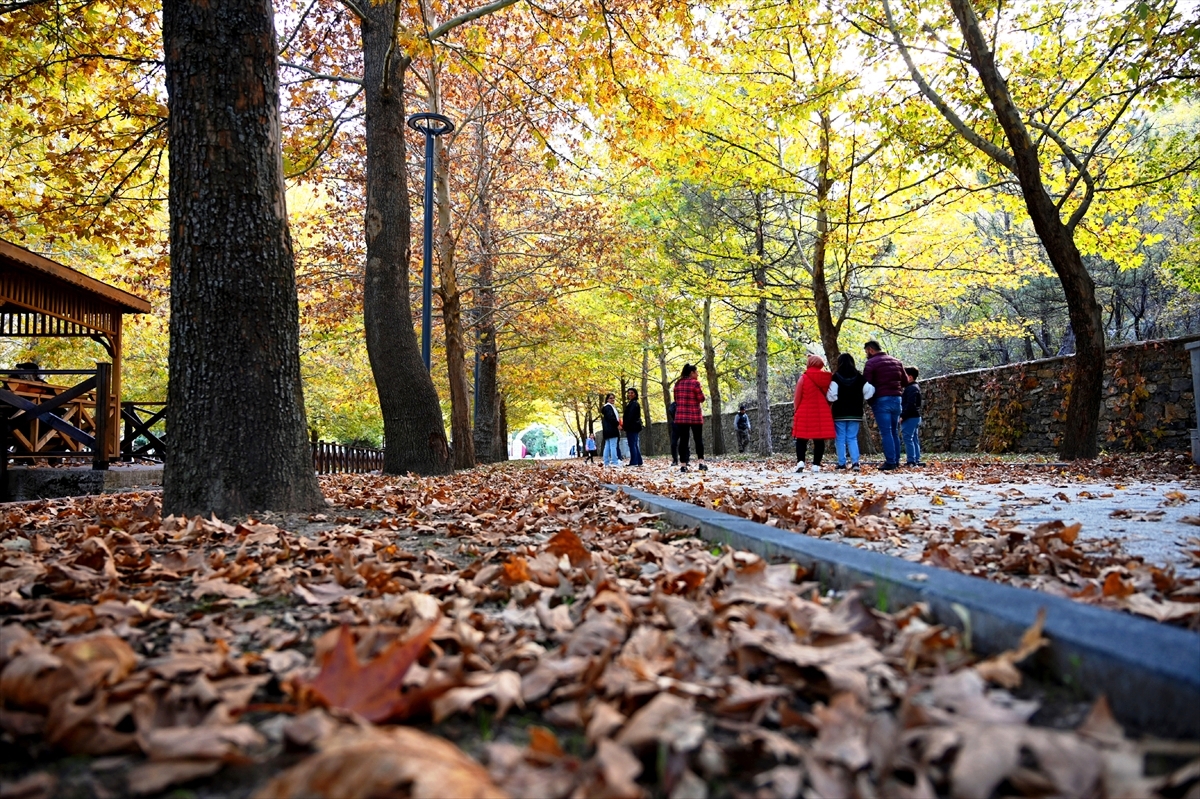 Kuğulu Tabiat Parkında Sonbahar