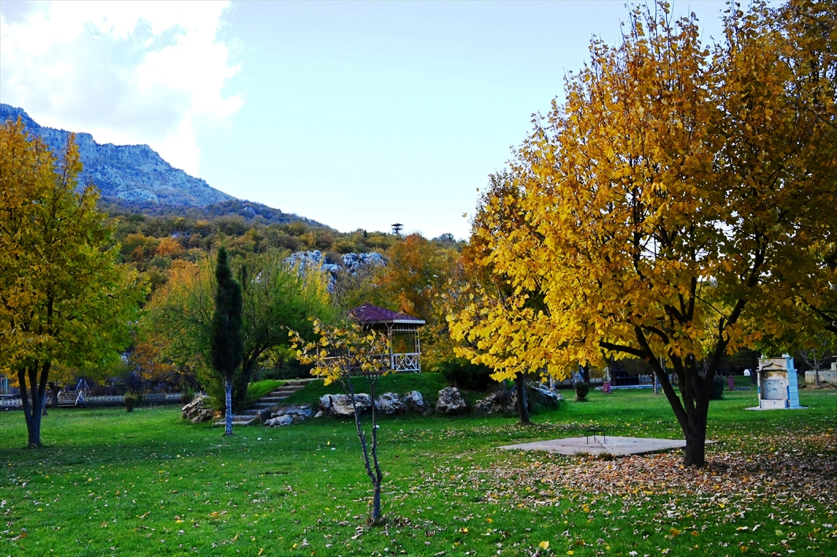 Kuğulu Tabiat Parkında Sonbahar