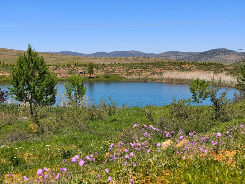 Konya'nın Ahırlı, Bozkır ve Akseki ilçelerinin yaylalarında yer alan Dipsiz Göl, eşsiz manzarası ve gizemli derinliğiyle doğaseverlerin ilgisini çekiyor. Yöre halkı tarafından "dipsiz" olarak adlandırılan göl, berrak suyu ve etkileyici çevresiyle adeta saklı bir cenneti andırıyor.  Doğanın Gizemli Mirası Dipsiz Göl, ismini derinliğinin bilinmemesinden alıyor. Yörede anlatılan efsanelere göre, gölün dibi yokmuş gibi görünüyor ve bu özelliğiyle merak uyandırıyor. Toros Dağları'nın eteklerinde, yemyeşil yaylaların ortasında yer alan göl, özellikle yaz aylarında serin havası ve huzur veren atmosferiyle ziyaretçilerini ağırlıyor.  Yayla Turizmi İçin Büyük Potansiyel Ahırlı, Bozkır ve Akseki yaylaları, doğal güzellikleriyle alternatif turizm rotaları arasında öne çıkıyor. Dipsiz Göl de bu bölgenin keşfedilmeyi bekleyen hazinelerinden biri. Kampçılar, fotoğraf tutkunları ve doğa yürüyüşçüleri için ideal bir durak olan göl, henüz çok fazla bilinmediğinden bakirliğini koruyor.  Koruma Çabaları ve Gelecek Nesillere Aktarım Çevre sakinleri ve yetkililer, Dipsiz Göl'ün doğal dokusunu korumak için çalışmalar yürütüyor. Gölün etrafında çevre düzenlemesi ve tanıtım faaliyetlerinin artırılması hedefleniyor. Aynı zamanda, bölgenin eko-turizme kazandırılması için projeler geliştiriliyor.  Dipsiz Göl, Konya'nın yaylalarında keşfedilmeyi bekleyen bir doğa harikası. Eğer siz de huzur dolu bir kaçamak arıyorsanız, bu gizemli göle mutlaka bir yolculuk yapmalısınız!  Not: Gölün konumu ve ulaşım detayları için yerel rehberlerden bilgi alınması önerilir.