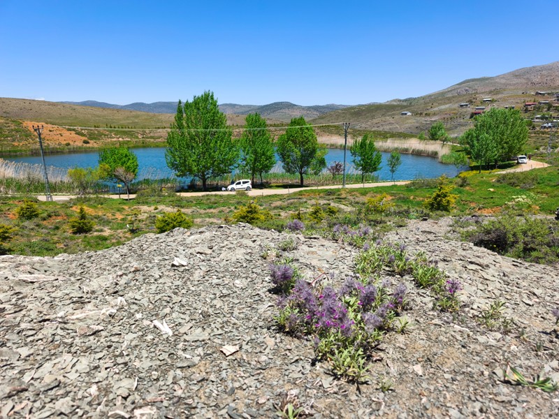 Konya'nın Ahırlı, Bozkır ve Akseki ilçelerinin yaylalarında yer alan Dipsiz Göl, eşsiz manzarası ve gizemli derinliğiyle doğaseverlerin ilgisini çekiyor. Yöre halkı tarafından "dipsiz" olarak adlandırılan göl, berrak suyu ve etkileyici çevresiyle adeta saklı bir cenneti andırıyor.  Doğanın Gizemli Mirası Dipsiz Göl, ismini derinliğinin bilinmemesinden alıyor. Yörede anlatılan efsanelere göre, gölün dibi yokmuş gibi görünüyor ve bu özelliğiyle merak uyandırıyor. Toros Dağları'nın eteklerinde, yemyeşil yaylaların ortasında yer alan göl, özellikle yaz aylarında serin havası ve huzur veren atmosferiyle ziyaretçilerini ağırlıyor.  Yayla Turizmi İçin Büyük Potansiyel Ahırlı, Bozkır ve Akseki yaylaları, doğal güzellikleriyle alternatif turizm rotaları arasında öne çıkıyor. Dipsiz Göl de bu bölgenin keşfedilmeyi bekleyen hazinelerinden biri. Kampçılar, fotoğraf tutkunları ve doğa yürüyüşçüleri için ideal bir durak olan göl, henüz çok fazla bilinmediğinden bakirliğini koruyor.  Koruma Çabaları ve Gelecek Nesillere Aktarım Çevre sakinleri ve yetkililer, Dipsiz Göl'ün doğal dokusunu korumak için çalışmalar yürütüyor. Gölün etrafında çevre düzenlemesi ve tanıtım faaliyetlerinin artırılması hedefleniyor. Aynı zamanda, bölgenin eko-turizme kazandırılması için projeler geliştiriliyor.  Dipsiz Göl, Konya'nın yaylalarında keşfedilmeyi bekleyen bir doğa harikası. Eğer siz de huzur dolu bir kaçamak arıyorsanız, bu gizemli göle mutlaka bir yolculuk yapmalısınız!  Not: Gölün konumu ve ulaşım detayları için yerel rehberlerden bilgi alınması önerilir.