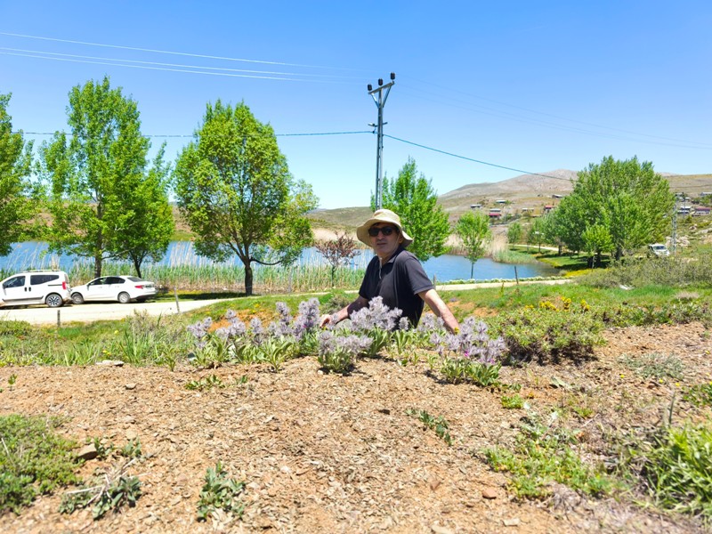 Konya'nın Ahırlı, Bozkır ve Akseki ilçelerinin yaylalarında yer alan Dipsiz Göl, eşsiz manzarası ve gizemli derinliğiyle doğaseverlerin ilgisini çekiyor. Yöre halkı tarafından "dipsiz" olarak adlandırılan göl, berrak suyu ve etkileyici çevresiyle adeta saklı bir cenneti andırıyor.  Doğanın Gizemli Mirası Dipsiz Göl, ismini derinliğinin bilinmemesinden alıyor. Yörede anlatılan efsanelere göre, gölün dibi yokmuş gibi görünüyor ve bu özelliğiyle merak uyandırıyor. Toros Dağları'nın eteklerinde, yemyeşil yaylaların ortasında yer alan göl, özellikle yaz aylarında serin havası ve huzur veren atmosferiyle ziyaretçilerini ağırlıyor.  Yayla Turizmi İçin Büyük Potansiyel Ahırlı, Bozkır ve Akseki yaylaları, doğal güzellikleriyle alternatif turizm rotaları arasında öne çıkıyor. Dipsiz Göl de bu bölgenin keşfedilmeyi bekleyen hazinelerinden biri. Kampçılar, fotoğraf tutkunları ve doğa yürüyüşçüleri için ideal bir durak olan göl, henüz çok fazla bilinmediğinden bakirliğini koruyor.  Koruma Çabaları ve Gelecek Nesillere Aktarım Çevre sakinleri ve yetkililer, Dipsiz Göl'ün doğal dokusunu korumak için çalışmalar yürütüyor. Gölün etrafında çevre düzenlemesi ve tanıtım faaliyetlerinin artırılması hedefleniyor. Aynı zamanda, bölgenin eko-turizme kazandırılması için projeler geliştiriliyor.  Dipsiz Göl, Konya'nın yaylalarında keşfedilmeyi bekleyen bir doğa harikası. Eğer siz de huzur dolu bir kaçamak arıyorsanız, bu gizemli göle mutlaka bir yolculuk yapmalısınız!  Not: Gölün konumu ve ulaşım detayları için yerel rehberlerden bilgi alınması önerilir.