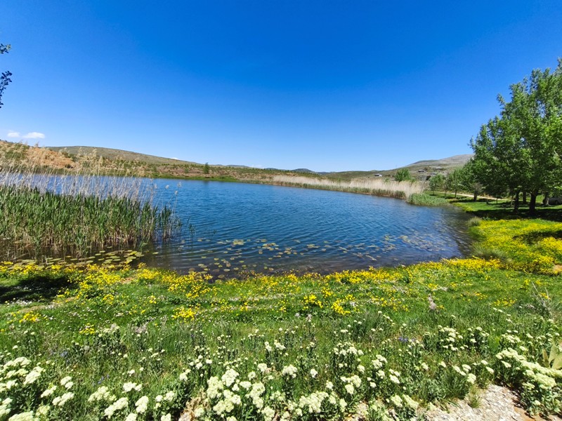 Konya'nın Ahırlı, Bozkır ve Akseki ilçelerinin yaylalarında yer alan Dipsiz Göl, eşsiz manzarası ve gizemli derinliğiyle doğaseverlerin ilgisini çekiyor. Yöre halkı tarafından "dipsiz" olarak adlandırılan göl, berrak suyu ve etkileyici çevresiyle adeta saklı bir cenneti andırıyor.  Doğanın Gizemli Mirası Dipsiz Göl, ismini derinliğinin bilinmemesinden alıyor. Yörede anlatılan efsanelere göre, gölün dibi yokmuş gibi görünüyor ve bu özelliğiyle merak uyandırıyor. Toros Dağları'nın eteklerinde, yemyeşil yaylaların ortasında yer alan göl, özellikle yaz aylarında serin havası ve huzur veren atmosferiyle ziyaretçilerini ağırlıyor.  Yayla Turizmi İçin Büyük Potansiyel Ahırlı, Bozkır ve Akseki yaylaları, doğal güzellikleriyle alternatif turizm rotaları arasında öne çıkıyor. Dipsiz Göl de bu bölgenin keşfedilmeyi bekleyen hazinelerinden biri. Kampçılar, fotoğraf tutkunları ve doğa yürüyüşçüleri için ideal bir durak olan göl, henüz çok fazla bilinmediğinden bakirliğini koruyor.  Koruma Çabaları ve Gelecek Nesillere Aktarım Çevre sakinleri ve yetkililer, Dipsiz Göl'ün doğal dokusunu korumak için çalışmalar yürütüyor. Gölün etrafında çevre düzenlemesi ve tanıtım faaliyetlerinin artırılması hedefleniyor. Aynı zamanda, bölgenin eko-turizme kazandırılması için projeler geliştiriliyor.  Dipsiz Göl, Konya'nın yaylalarında keşfedilmeyi bekleyen bir doğa harikası. Eğer siz de huzur dolu bir kaçamak arıyorsanız, bu gizemli göle mutlaka bir yolculuk yapmalısınız!  Not: Gölün konumu ve ulaşım detayları için yerel rehberlerden bilgi alınması önerilir.