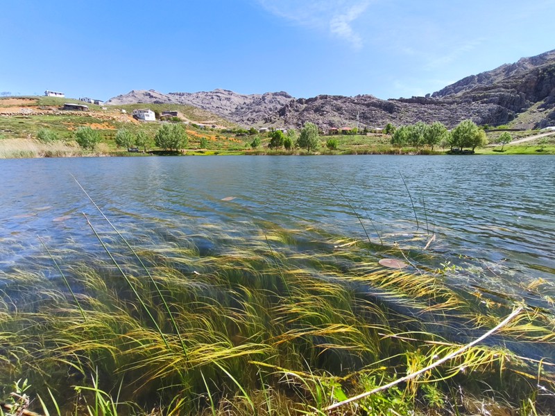 Konya'nın Ahırlı, Bozkır ve Akseki ilçelerinin yaylalarında yer alan Dipsiz Göl, eşsiz manzarası ve gizemli derinliğiyle doğaseverlerin ilgisini çekiyor. Yöre halkı tarafından "dipsiz" olarak adlandırılan göl, berrak suyu ve etkileyici çevresiyle adeta saklı bir cenneti andırıyor.  Doğanın Gizemli Mirası Dipsiz Göl, ismini derinliğinin bilinmemesinden alıyor. Yörede anlatılan efsanelere göre, gölün dibi yokmuş gibi görünüyor ve bu özelliğiyle merak uyandırıyor. Toros Dağları'nın eteklerinde, yemyeşil yaylaların ortasında yer alan göl, özellikle yaz aylarında serin havası ve huzur veren atmosferiyle ziyaretçilerini ağırlıyor.  Yayla Turizmi İçin Büyük Potansiyel Ahırlı, Bozkır ve Akseki yaylaları, doğal güzellikleriyle alternatif turizm rotaları arasında öne çıkıyor. Dipsiz Göl de bu bölgenin keşfedilmeyi bekleyen hazinelerinden biri. Kampçılar, fotoğraf tutkunları ve doğa yürüyüşçüleri için ideal bir durak olan göl, henüz çok fazla bilinmediğinden bakirliğini koruyor.  Koruma Çabaları ve Gelecek Nesillere Aktarım Çevre sakinleri ve yetkililer, Dipsiz Göl'ün doğal dokusunu korumak için çalışmalar yürütüyor. Gölün etrafında çevre düzenlemesi ve tanıtım faaliyetlerinin artırılması hedefleniyor. Aynı zamanda, bölgenin eko-turizme kazandırılması için projeler geliştiriliyor.  Dipsiz Göl, Konya'nın yaylalarında keşfedilmeyi bekleyen bir doğa harikası. Eğer siz de huzur dolu bir kaçamak arıyorsanız, bu gizemli göle mutlaka bir yolculuk yapmalısınız!  Not: Gölün konumu ve ulaşım detayları için yerel rehberlerden bilgi alınması önerilir.