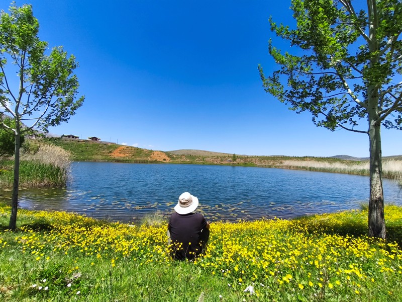 Konya'nın Ahırlı, Bozkır ve Akseki ilçelerinin yaylalarında yer alan Dipsiz Göl, eşsiz manzarası ve gizemli derinliğiyle doğaseverlerin ilgisini çekiyor. Yöre halkı tarafından "dipsiz" olarak adlandırılan göl, berrak suyu ve etkileyici çevresiyle adeta saklı bir cenneti andırıyor.  Doğanın Gizemli Mirası Dipsiz Göl, ismini derinliğinin bilinmemesinden alıyor. Yörede anlatılan efsanelere göre, gölün dibi yokmuş gibi görünüyor ve bu özelliğiyle merak uyandırıyor. Toros Dağları'nın eteklerinde, yemyeşil yaylaların ortasında yer alan göl, özellikle yaz aylarında serin havası ve huzur veren atmosferiyle ziyaretçilerini ağırlıyor.  Yayla Turizmi İçin Büyük Potansiyel Ahırlı, Bozkır ve Akseki yaylaları, doğal güzellikleriyle alternatif turizm rotaları arasında öne çıkıyor. Dipsiz Göl de bu bölgenin keşfedilmeyi bekleyen hazinelerinden biri. Kampçılar, fotoğraf tutkunları ve doğa yürüyüşçüleri için ideal bir durak olan göl, henüz çok fazla bilinmediğinden bakirliğini koruyor.  Koruma Çabaları ve Gelecek Nesillere Aktarım Çevre sakinleri ve yetkililer, Dipsiz Göl'ün doğal dokusunu korumak için çalışmalar yürütüyor. Gölün etrafında çevre düzenlemesi ve tanıtım faaliyetlerinin artırılması hedefleniyor. Aynı zamanda, bölgenin eko-turizme kazandırılması için projeler geliştiriliyor.  Dipsiz Göl, Konya'nın yaylalarında keşfedilmeyi bekleyen bir doğa harikası. Eğer siz de huzur dolu bir kaçamak arıyorsanız, bu gizemli göle mutlaka bir yolculuk yapmalısınız!  Not: Gölün konumu ve ulaşım detayları için yerel rehberlerden bilgi alınması önerilir.