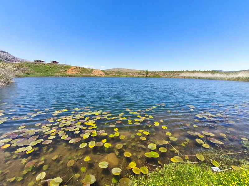 Konya'nın Ahırlı, Bozkır ve Akseki ilçelerinin yaylalarında yer alan Dipsiz Göl, eşsiz manzarası ve gizemli derinliğiyle doğaseverlerin ilgisini çekiyor. Yöre halkı tarafından "dipsiz" olarak adlandırılan göl, berrak suyu ve etkileyici çevresiyle adeta saklı bir cenneti andırıyor.  Doğanın Gizemli Mirası Dipsiz Göl, ismini derinliğinin bilinmemesinden alıyor. Yörede anlatılan efsanelere göre, gölün dibi yokmuş gibi görünüyor ve bu özelliğiyle merak uyandırıyor. Toros Dağları'nın eteklerinde, yemyeşil yaylaların ortasında yer alan göl, özellikle yaz aylarında serin havası ve huzur veren atmosferiyle ziyaretçilerini ağırlıyor.  Yayla Turizmi İçin Büyük Potansiyel Ahırlı, Bozkır ve Akseki yaylaları, doğal güzellikleriyle alternatif turizm rotaları arasında öne çıkıyor. Dipsiz Göl de bu bölgenin keşfedilmeyi bekleyen hazinelerinden biri. Kampçılar, fotoğraf tutkunları ve doğa yürüyüşçüleri için ideal bir durak olan göl, henüz çok fazla bilinmediğinden bakirliğini koruyor.  Koruma Çabaları ve Gelecek Nesillere Aktarım Çevre sakinleri ve yetkililer, Dipsiz Göl'ün doğal dokusunu korumak için çalışmalar yürütüyor. Gölün etrafında çevre düzenlemesi ve tanıtım faaliyetlerinin artırılması hedefleniyor. Aynı zamanda, bölgenin eko-turizme kazandırılması için projeler geliştiriliyor.  Dipsiz Göl, Konya'nın yaylalarında keşfedilmeyi bekleyen bir doğa harikası. Eğer siz de huzur dolu bir kaçamak arıyorsanız, bu gizemli göle mutlaka bir yolculuk yapmalısınız!  Not: Gölün konumu ve ulaşım detayları için yerel rehberlerden bilgi alınması önerilir.