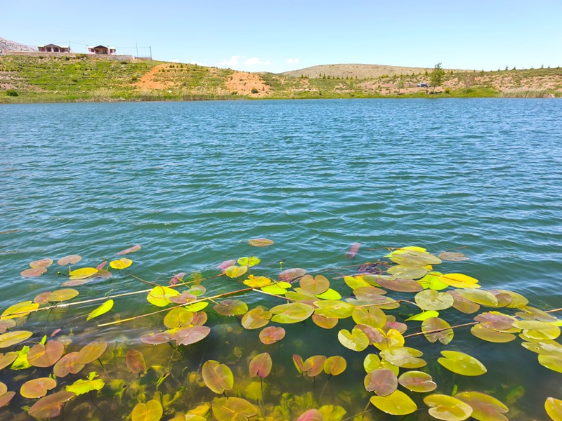Konya'nın Ahırlı, Bozkır ve Akseki ilçelerinin yaylalarında yer alan Dipsiz Göl, eşsiz manzarası ve gizemli derinliğiyle doğaseverlerin ilgisini çekiyor. Yöre halkı tarafından "dipsiz" olarak adlandırılan göl, berrak suyu ve etkileyici çevresiyle adeta saklı bir cenneti andırıyor.  Doğanın Gizemli Mirası Dipsiz Göl, ismini derinliğinin bilinmemesinden alıyor. Yörede anlatılan efsanelere göre, gölün dibi yokmuş gibi görünüyor ve bu özelliğiyle merak uyandırıyor. Toros Dağları'nın eteklerinde, yemyeşil yaylaların ortasında yer alan göl, özellikle yaz aylarında serin havası ve huzur veren atmosferiyle ziyaretçilerini ağırlıyor.  Yayla Turizmi İçin Büyük Potansiyel Ahırlı, Bozkır ve Akseki yaylaları, doğal güzellikleriyle alternatif turizm rotaları arasında öne çıkıyor. Dipsiz Göl de bu bölgenin keşfedilmeyi bekleyen hazinelerinden biri. Kampçılar, fotoğraf tutkunları ve doğa yürüyüşçüleri için ideal bir durak olan göl, henüz çok fazla bilinmediğinden bakirliğini koruyor.  Koruma Çabaları ve Gelecek Nesillere Aktarım Çevre sakinleri ve yetkililer, Dipsiz Göl'ün doğal dokusunu korumak için çalışmalar yürütüyor. Gölün etrafında çevre düzenlemesi ve tanıtım faaliyetlerinin artırılması hedefleniyor. Aynı zamanda, bölgenin eko-turizme kazandırılması için projeler geliştiriliyor.  Dipsiz Göl, Konya'nın yaylalarında keşfedilmeyi bekleyen bir doğa harikası. Eğer siz de huzur dolu bir kaçamak arıyorsanız, bu gizemli göle mutlaka bir yolculuk yapmalısınız!  Not: Gölün konumu ve ulaşım detayları için yerel rehberlerden bilgi alınması önerilir.