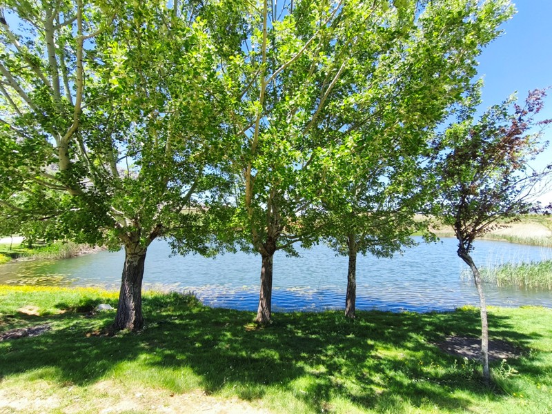 Konya'nın Ahırlı, Bozkır ve Akseki ilçelerinin yaylalarında yer alan Dipsiz Göl, eşsiz manzarası ve gizemli derinliğiyle doğaseverlerin ilgisini çekiyor. Yöre halkı tarafından "dipsiz" olarak adlandırılan göl, berrak suyu ve etkileyici çevresiyle adeta saklı bir cenneti andırıyor.  Doğanın Gizemli Mirası Dipsiz Göl, ismini derinliğinin bilinmemesinden alıyor. Yörede anlatılan efsanelere göre, gölün dibi yokmuş gibi görünüyor ve bu özelliğiyle merak uyandırıyor. Toros Dağları'nın eteklerinde, yemyeşil yaylaların ortasında yer alan göl, özellikle yaz aylarında serin havası ve huzur veren atmosferiyle ziyaretçilerini ağırlıyor.  Yayla Turizmi İçin Büyük Potansiyel Ahırlı, Bozkır ve Akseki yaylaları, doğal güzellikleriyle alternatif turizm rotaları arasında öne çıkıyor. Dipsiz Göl de bu bölgenin keşfedilmeyi bekleyen hazinelerinden biri. Kampçılar, fotoğraf tutkunları ve doğa yürüyüşçüleri için ideal bir durak olan göl, henüz çok fazla bilinmediğinden bakirliğini koruyor.  Koruma Çabaları ve Gelecek Nesillere Aktarım Çevre sakinleri ve yetkililer, Dipsiz Göl'ün doğal dokusunu korumak için çalışmalar yürütüyor. Gölün etrafında çevre düzenlemesi ve tanıtım faaliyetlerinin artırılması hedefleniyor. Aynı zamanda, bölgenin eko-turizme kazandırılması için projeler geliştiriliyor.  Dipsiz Göl, Konya'nın yaylalarında keşfedilmeyi bekleyen bir doğa harikası. Eğer siz de huzur dolu bir kaçamak arıyorsanız, bu gizemli göle mutlaka bir yolculuk yapmalısınız!  Not: Gölün konumu ve ulaşım detayları için yerel rehberlerden bilgi alınması önerilir.