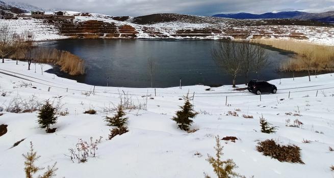 Giden  Gelmez Dağlarında  Yaban keçileri