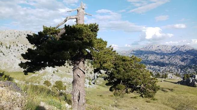 Toros Dağlarında Yayla Evleri Kardan Kayboldu