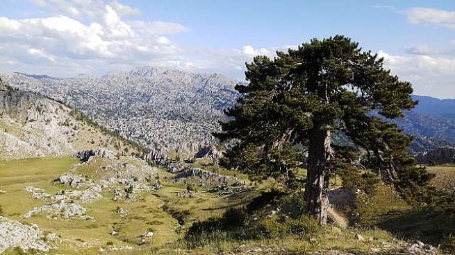 Toros Dağlarında Yayla Evleri Kardan Kayboldu