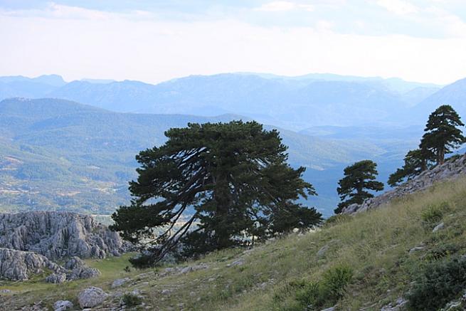 Toros Dağlarında Yayla Evleri Kardan Kayboldu