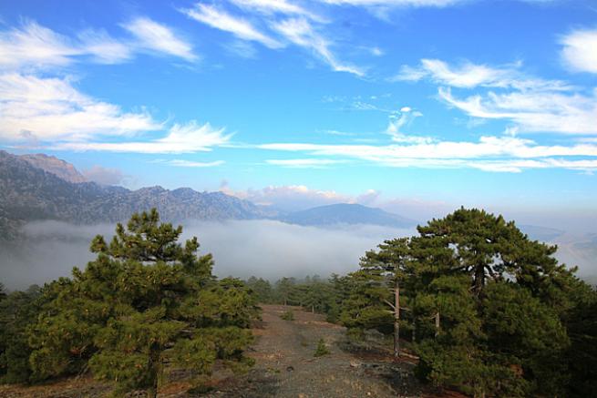 Toroslada 1  Kasım 2020 