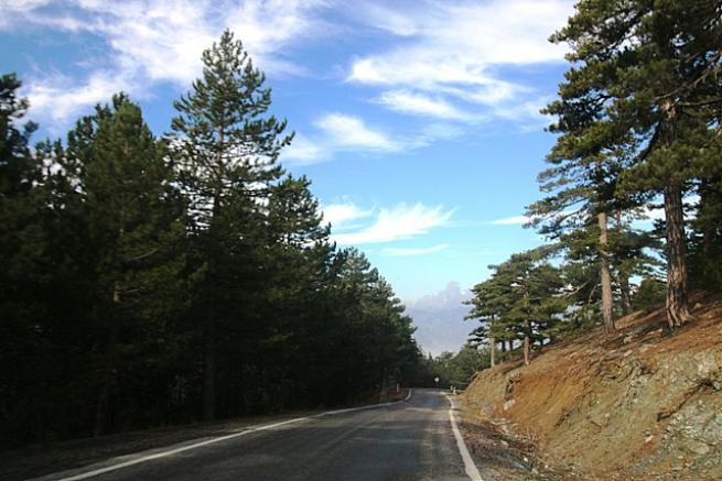 Toroslada 1  Kasım 2020 