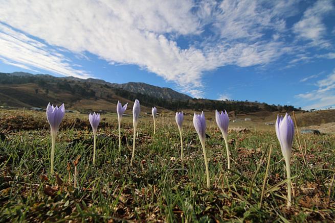 Toroslada 1  Kasım 2020 