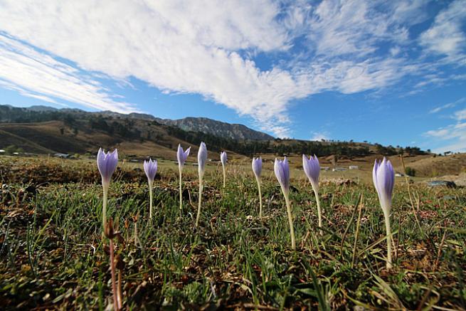Toroslada 1  Kasım 2020 
