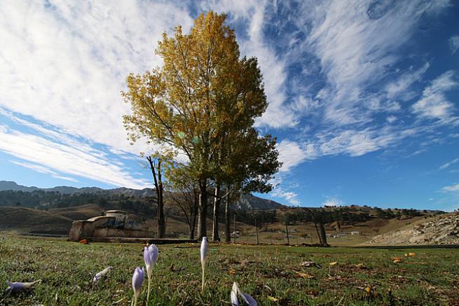 Toroslada 1  Kasım 2020 