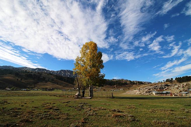 Toroslada 1  Kasım 2020 