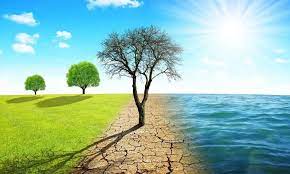 İklim Kanunu: Türkiye ve Dünya İçin Ne Anlama Geliyor?