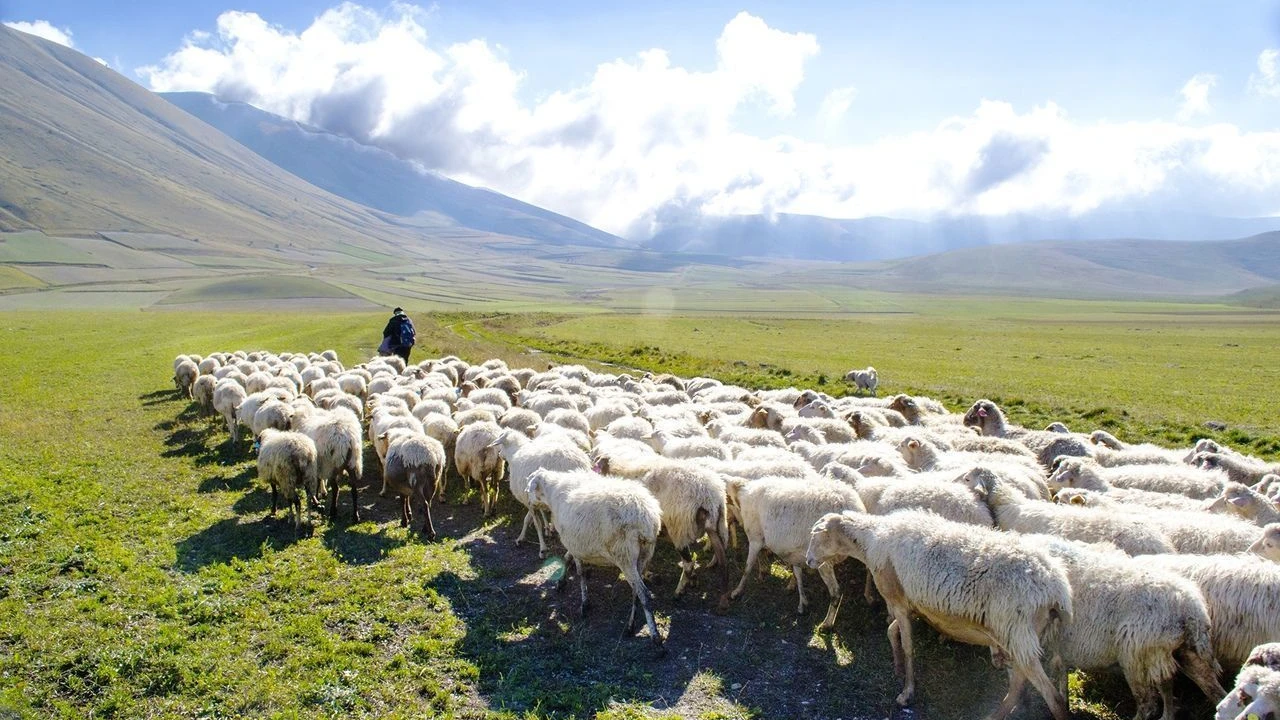 Konya'da hayvan otlatma kavgası kanlı bitti: 16 yaşındaki genç ağır yaralandı