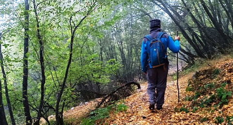 40 Yaşından Sonra Yürüyüşün Şaşırtıcı Faydaları: Her Adımınız Sağlığınıza Yatırım!